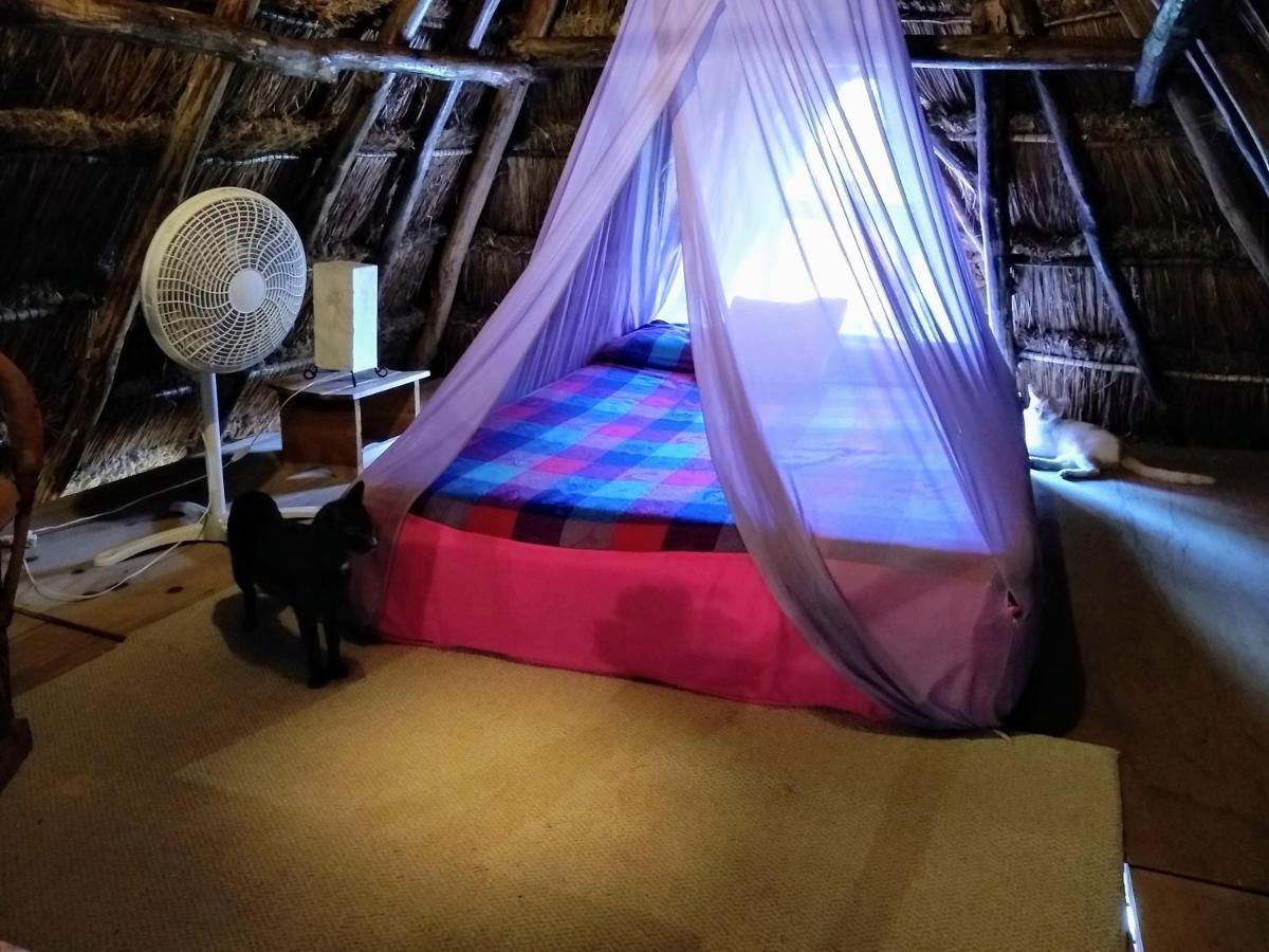 Casitas Kinsol Hotel Пуерто Морелос Екстериор снимка