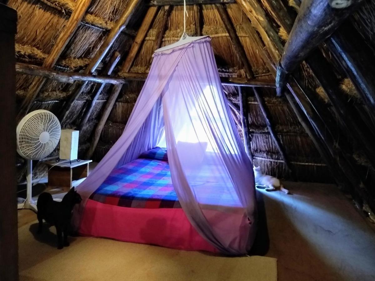 Casitas Kinsol Hotel Пуерто Морелос Екстериор снимка